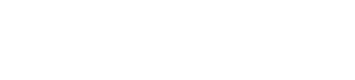 PrimeBug